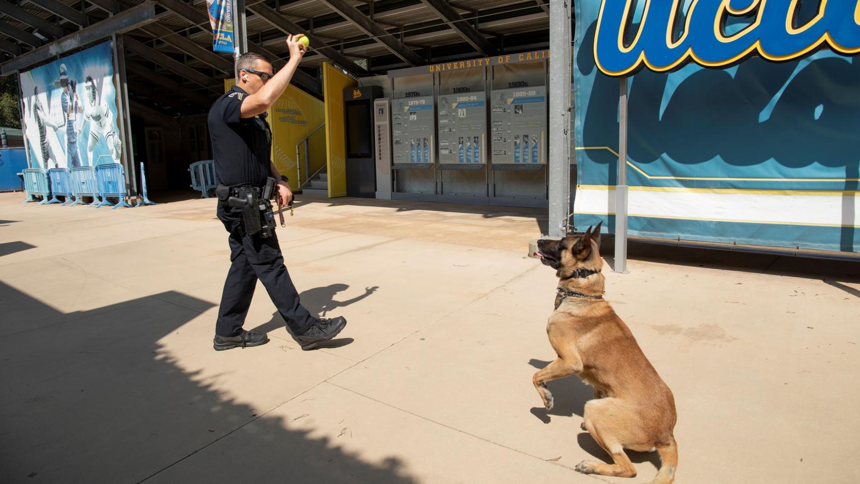 UCPD K9 officer playing with K9 outside of Pauley Pavilion